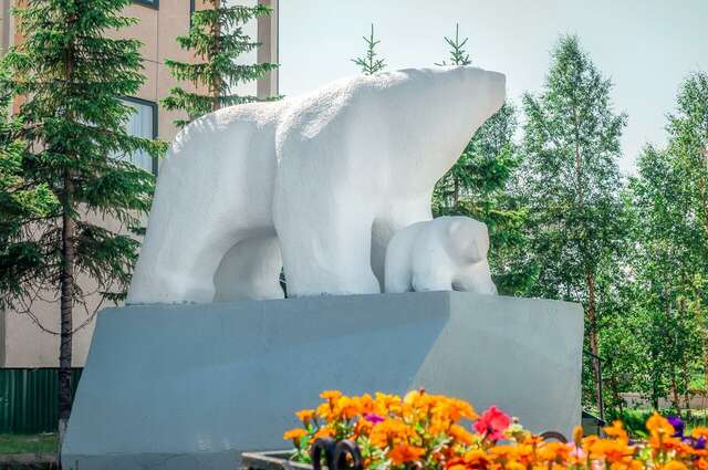 Гостиница Арктика Салехард-22